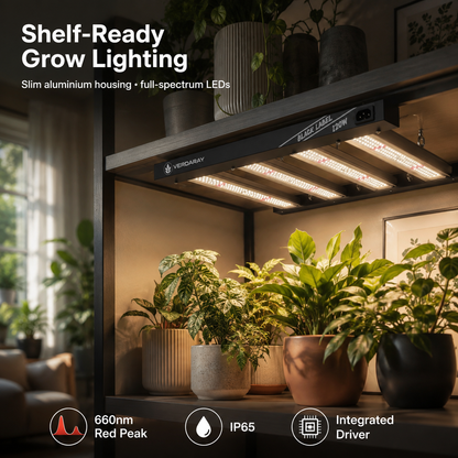 120W LED Grow Light Bar for Indoor Plants & Plant Shelves