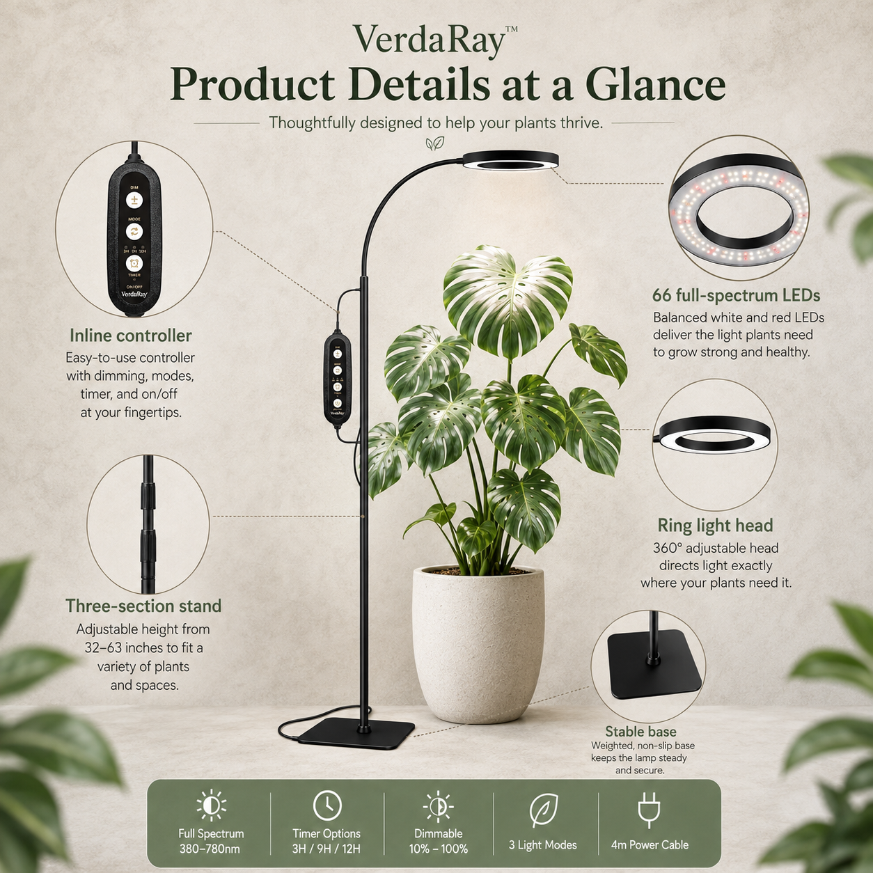 Adjustable Grow Light Stand for Indoor Plants – Full Spectrum LED with Timer