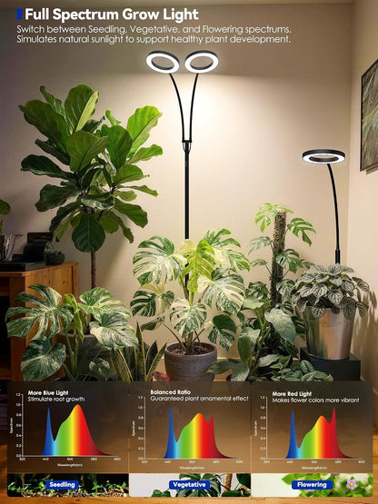 GLOWRIUM Grow Lights for Indoor Plants, 20W Full Spectrum LED Grow Light with Adjustable Height and Angle Stand, Light Timer, Black