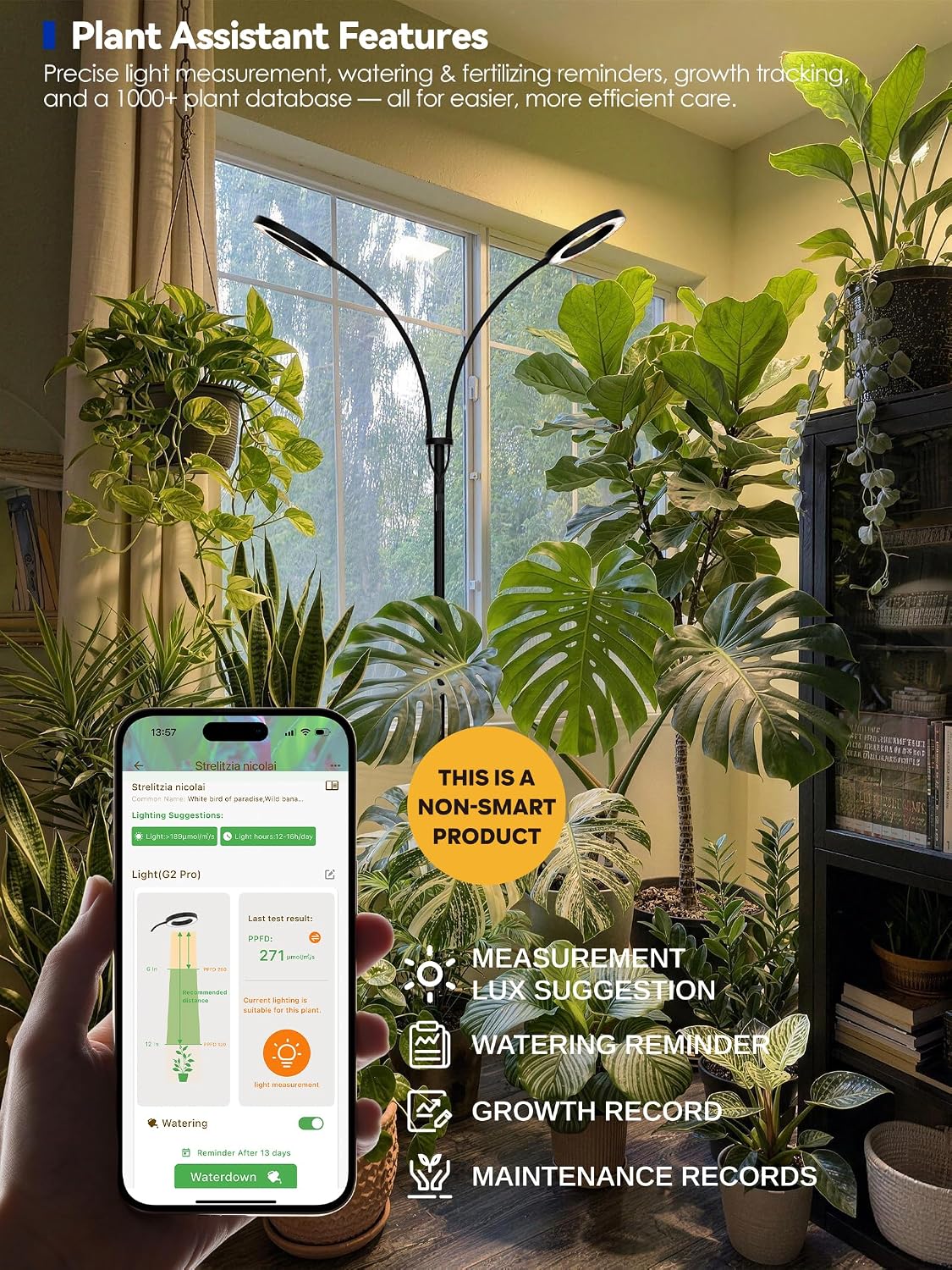 GLOWRIUM Grow Lights for Indoor Plants, 20W Full Spectrum LED Grow Light with Adjustable Height and Angle Stand, Light Timer, Black