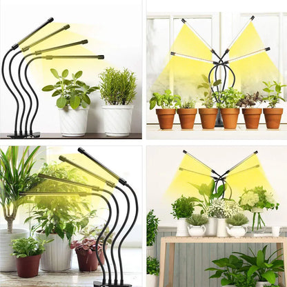 USB LED lampe de croissance des plantes 5V système de croissance hydroponique à spectre complet serre intérieure lampe de plante blanc chaud