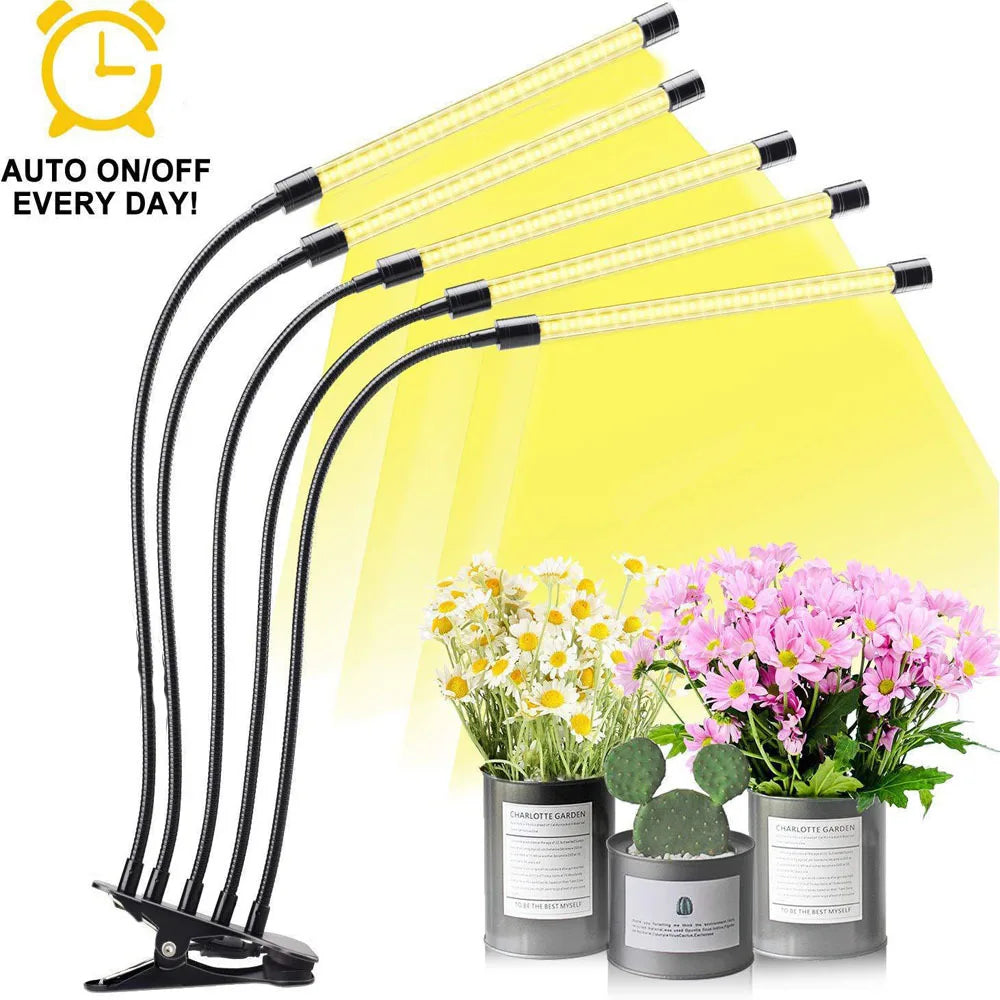 USB LED lampe de croissance des plantes 5V système de croissance hydroponique à spectre complet serre intérieure lampe de plante blanc chaud