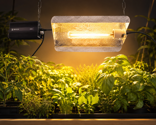 SOLIS TEK 600W Dimmable Electronic Ballast HPS Grow Light Kit