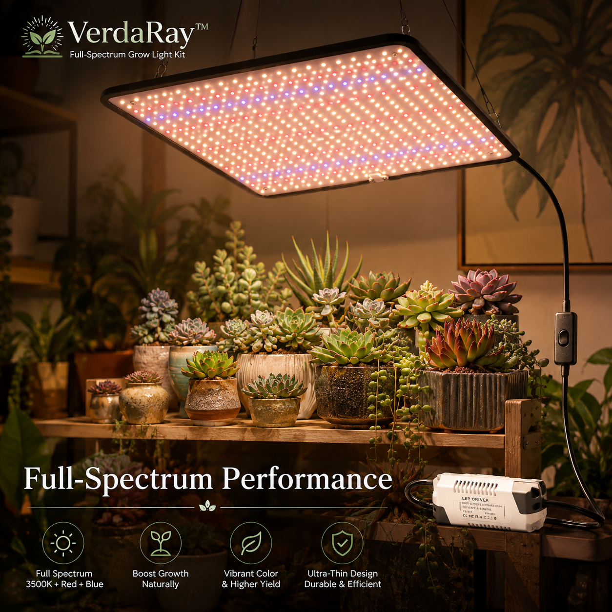 1200W Full Spectrum LED Grow Light Panel, 500 SMD2835 LEDs, Dimmable (3x3ft Coverage)