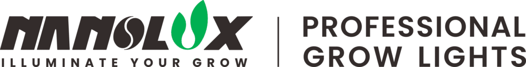 Nanolux Logo